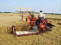 A Massey-Harris reaper-binder pulled by a tractor (Rutland, England, 2008)