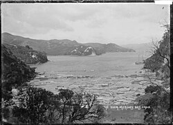 The boom, Mercury Bay, Coromandel Peninsula in early 1900s.