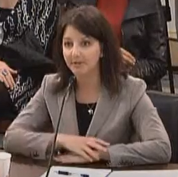 Cohen testifying before a congressional committee in 2015