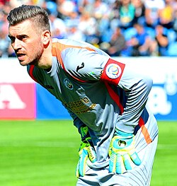 Stipe Pletikosa is Croatia's record holder in most clean sheets.