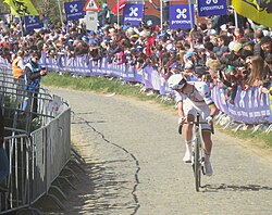 Pogačar leading the race on the Oude Kwaremont at the 2025 Tour of Flanders
