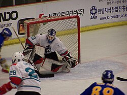 China Sharks goalie Wade Flaherty prepares to make a stop in a game against the Anyang Halla on November 15, 2008. Flaherty is wearing the team's away jersey.