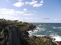 Tanesashi Beach