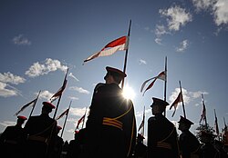 British lancers taking part in a homecoming parade in 2008