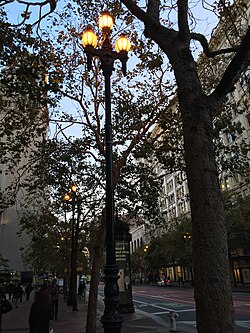 The Path of Gold street lamps (2018)