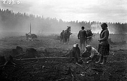 Slash-and-burn agriculture in Maaninka, Finland, in the 1920s