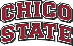 Wordmark 2015–2020