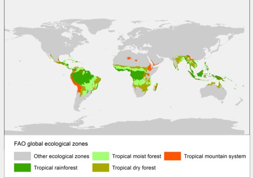 Tropical forest ecological zones (FAO)