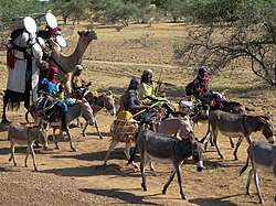 Movement of nomads in Chad