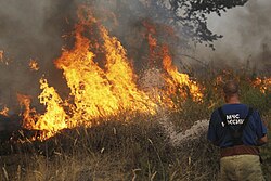 A Russian firefighter extinguishing a wildfire