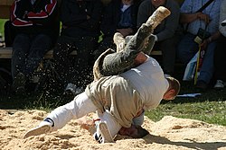 Traditional wrestling