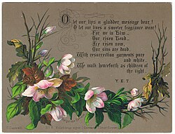 Heleborus niger, by Helga von Cramm, chromolithograh, with a prayer by Y.E.T., c. 1880.